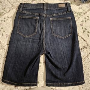 Judy Blue Denim Shorts